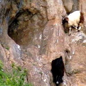 مناطق دیدنی تالش