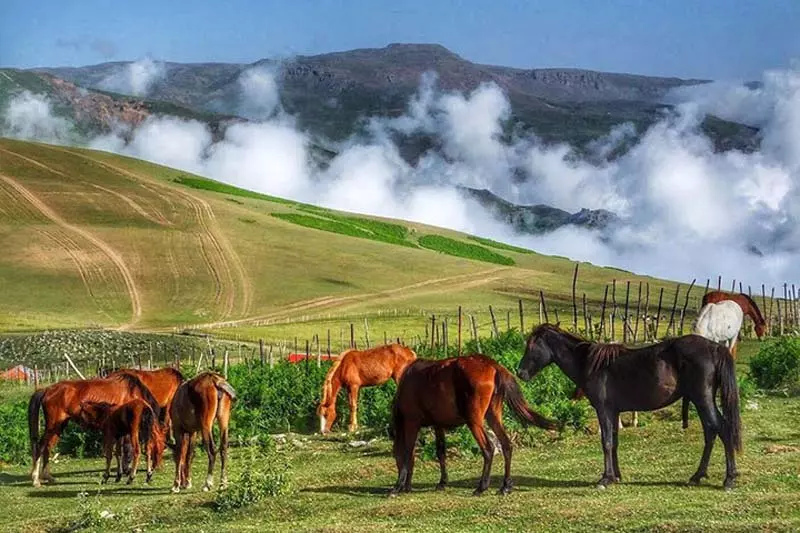 ییلاق سوباتان