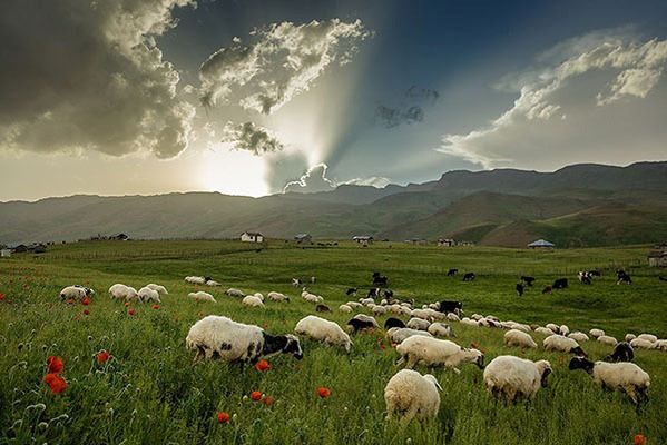 ییلاق شکردشت